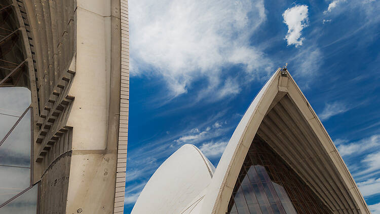 Sydney Opera House - top of the sails.