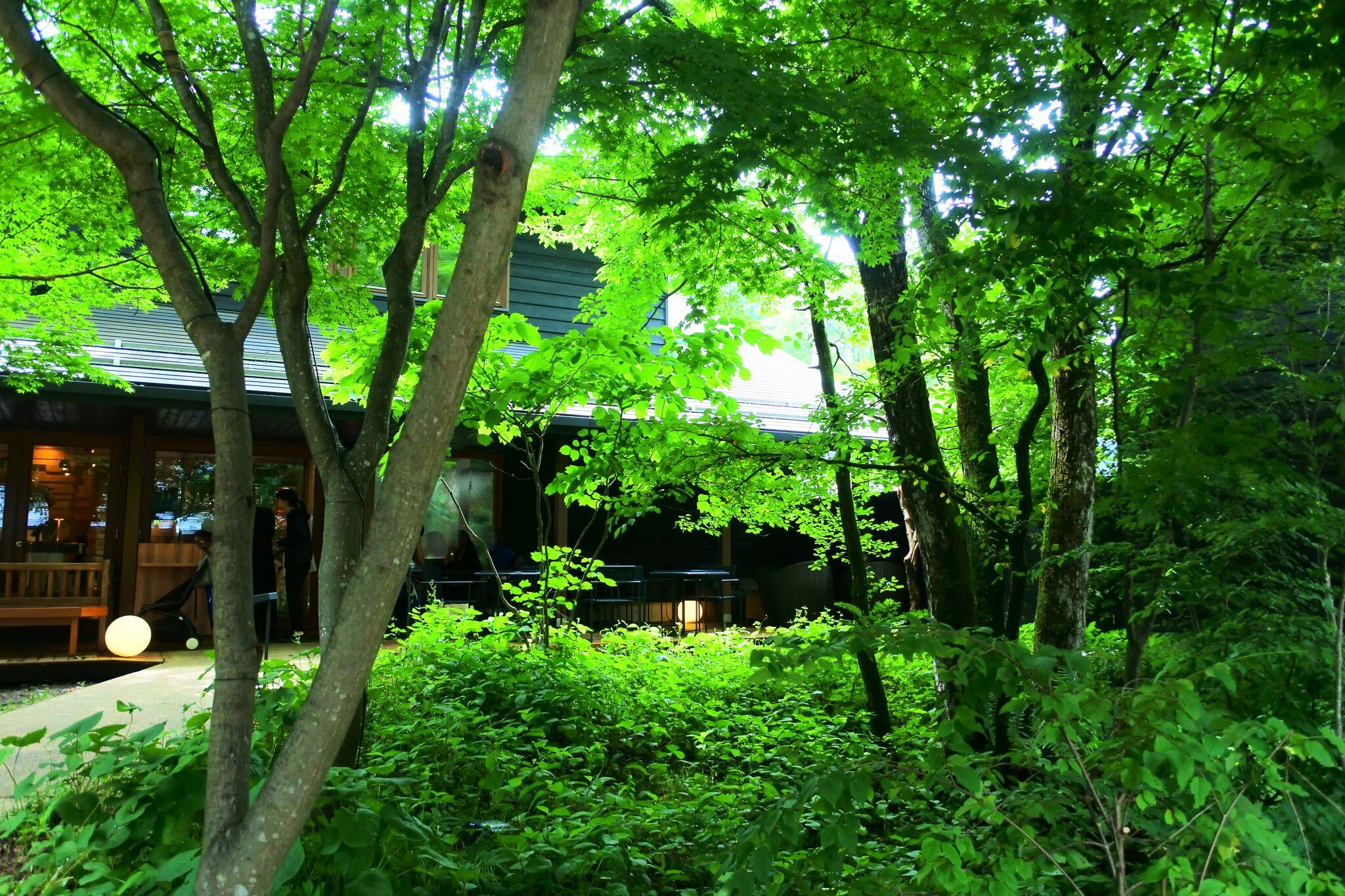 軽井沢は東京24区？