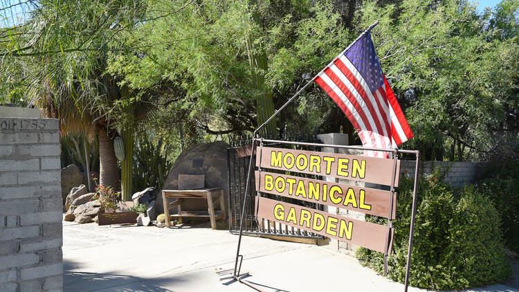 Pick up a plant at the Moorten Botanical Garden