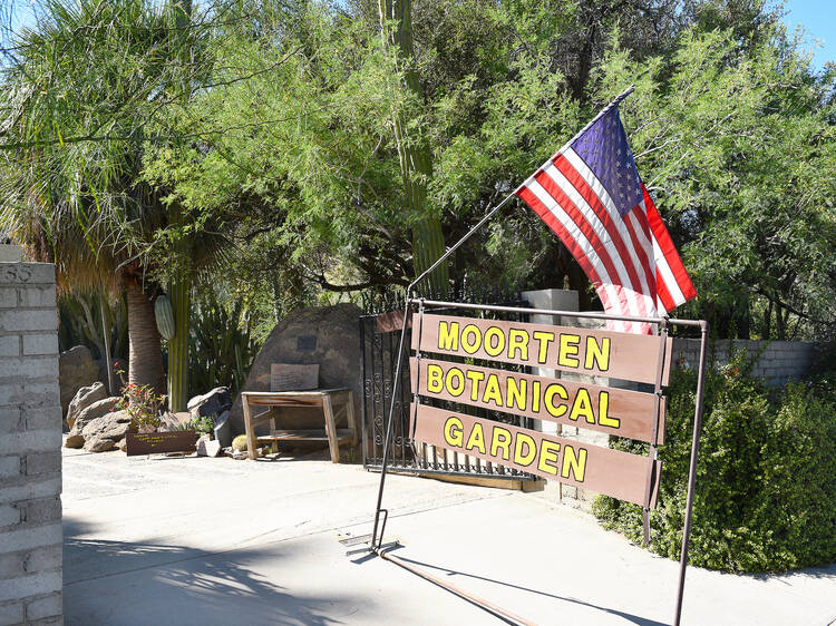 Pick up a plant at the Moorten Botanical Garden