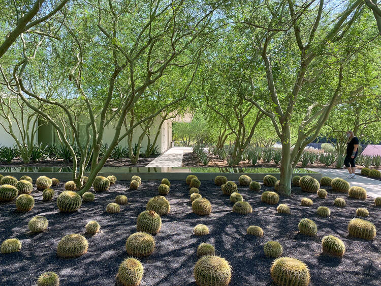 Take a stroll around Sunnylands Center & Gardens