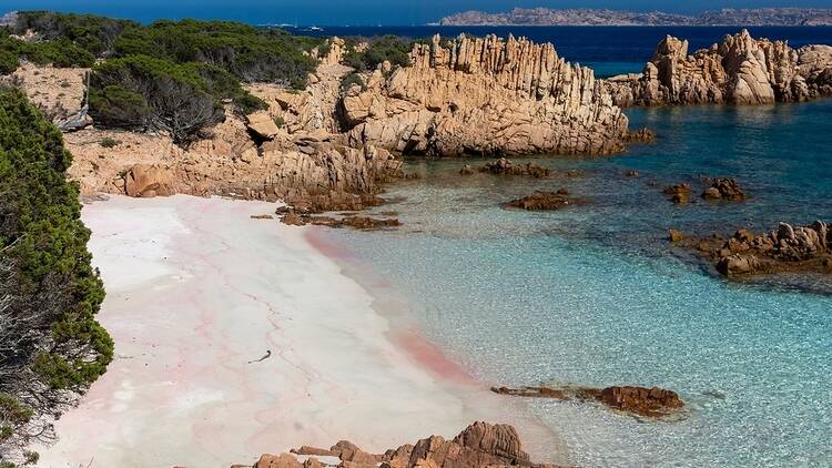 Spiaggia Rosa pink beach in Sardinia, Italy