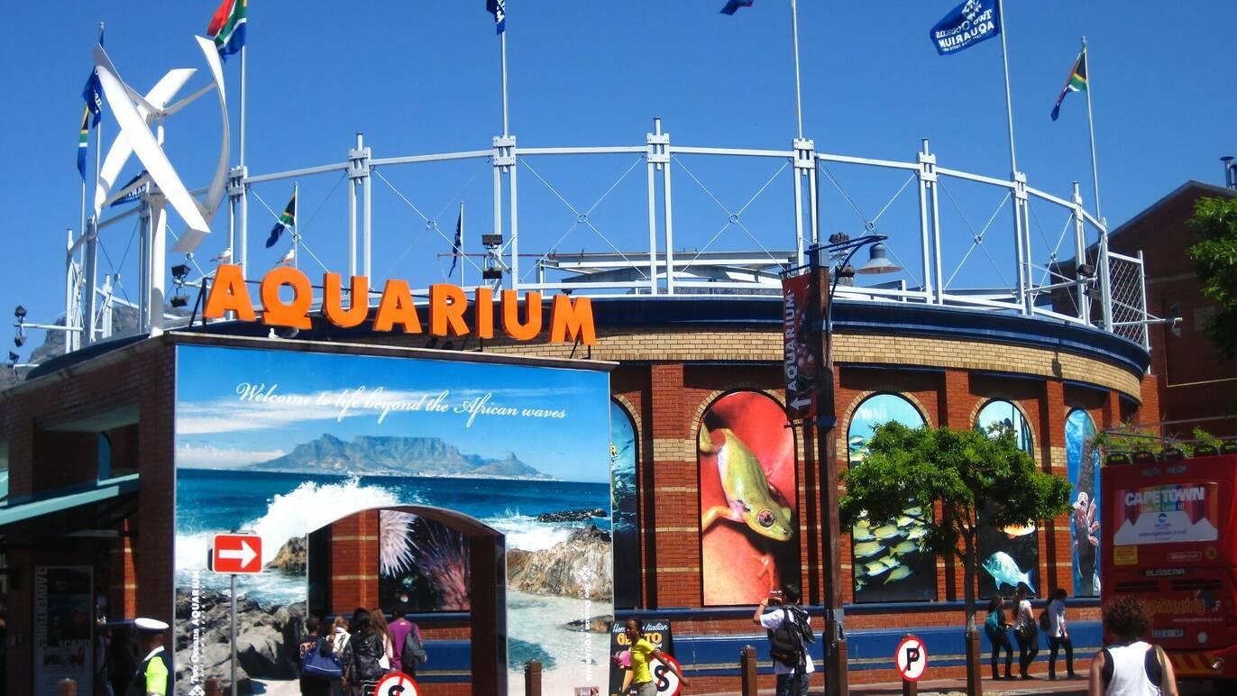 Two Oceans Aquarium Things To Do In Cape Town Two Oceans Aquarium Things To Do In Cape Town