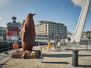 What to do on the V&A Waterfront What to do on the V&A Waterfront