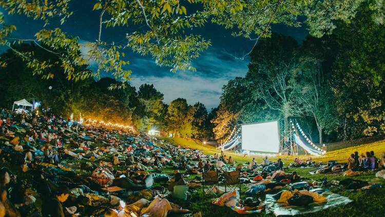 夜空と交差する森の映画祭