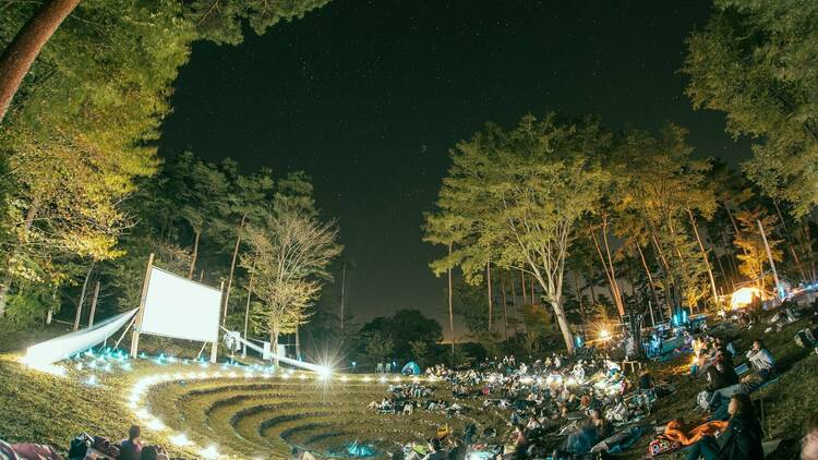 夜空と交差する森の映画祭