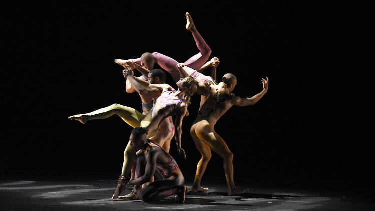 Pilobolus in Sweet Purgatory