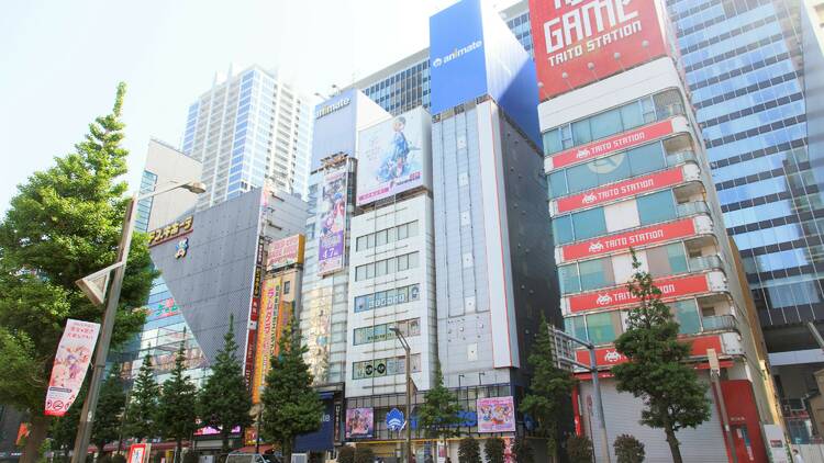 Animate Akihabara