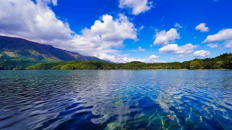 Lake Aoki