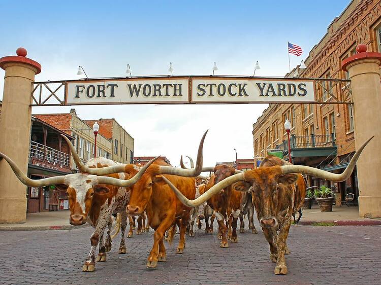 Fort Worth, TX | "1883"