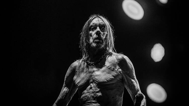 Iggy Pop – Dog Day Afternoon