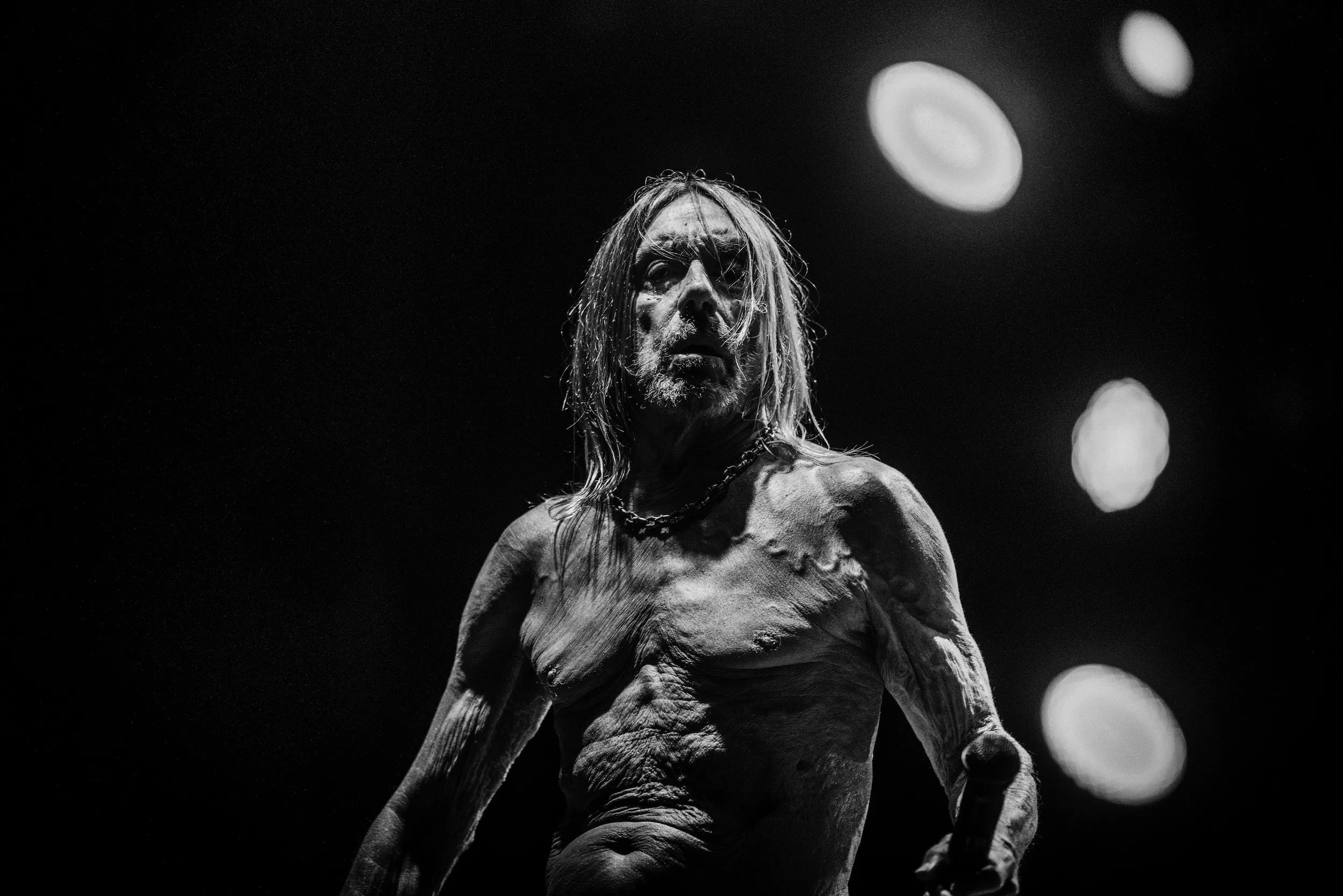 Iggy Pop press photo