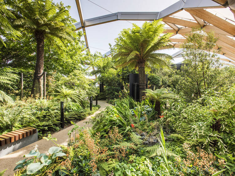 Nosey around patches of green usually closed off to the public at London Square Open Gardens