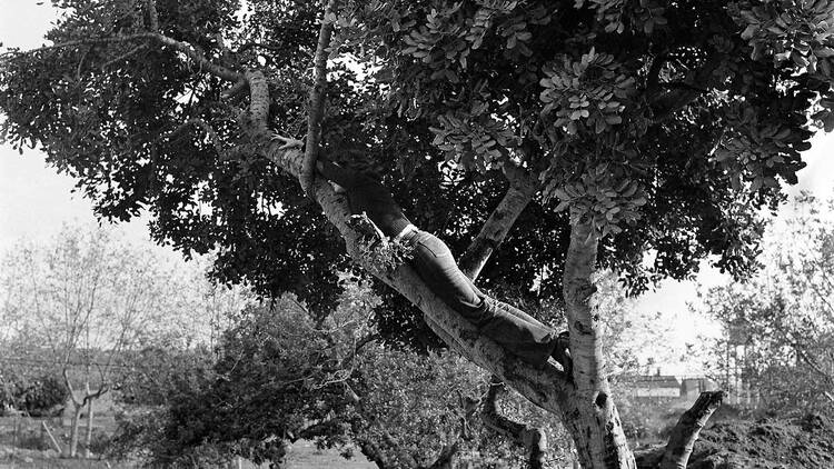 La mujer árbol, la mujer agua. Fina Miralles (Círculo de BBAA).