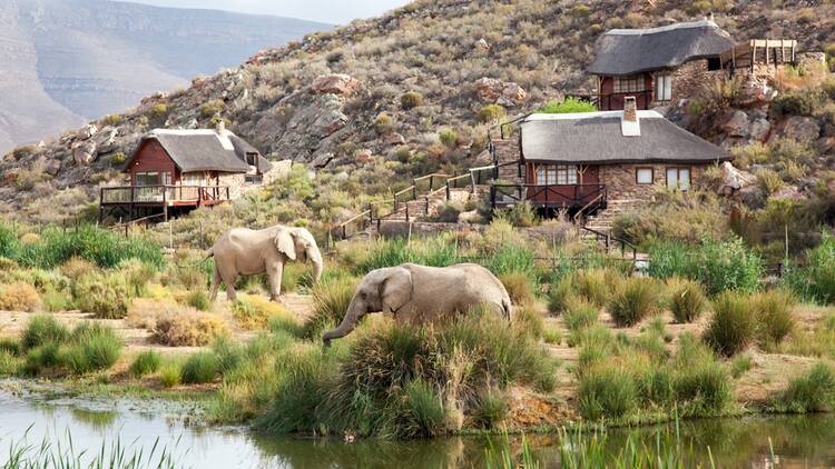 Aquila Private Game Reserve