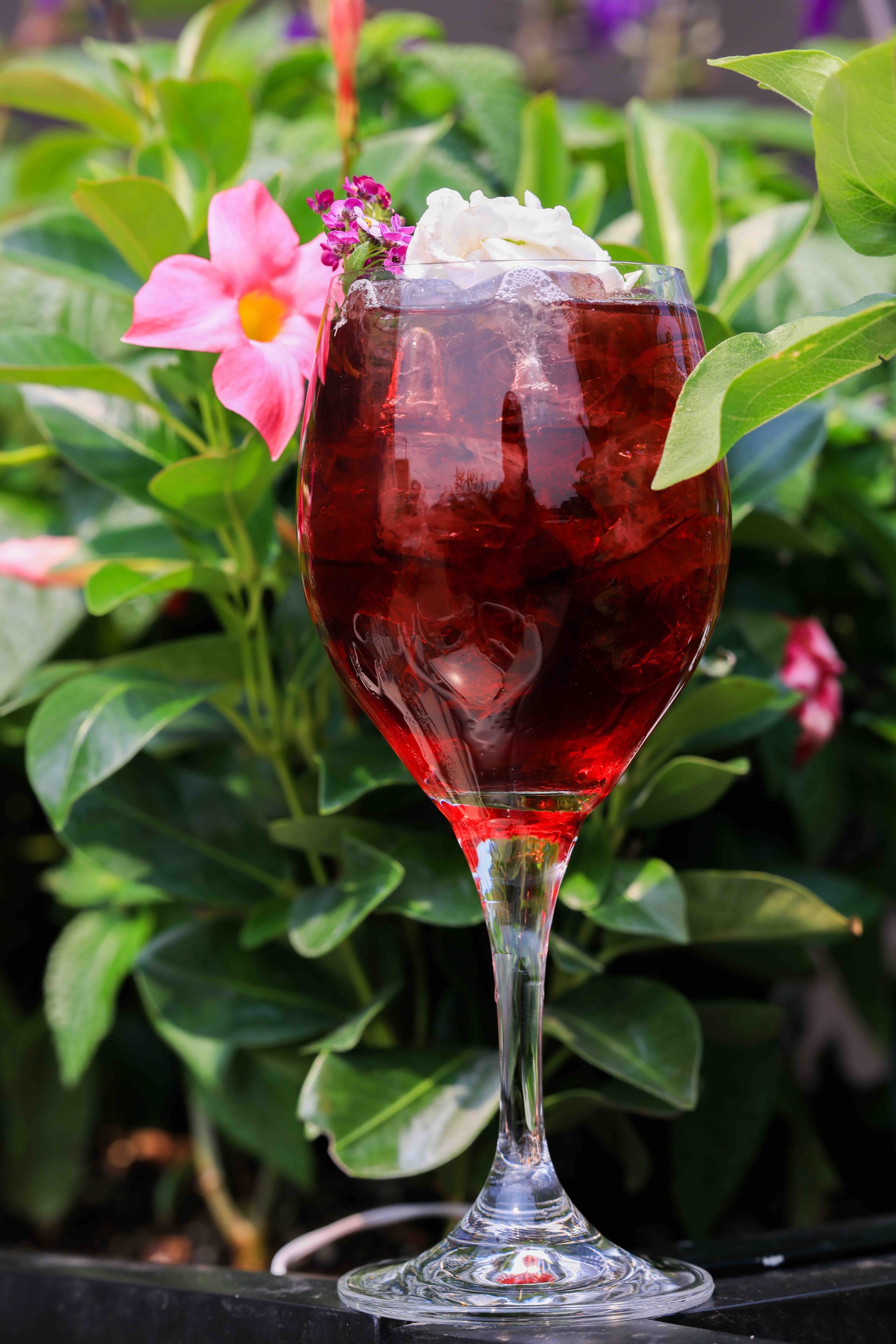 A cocktail