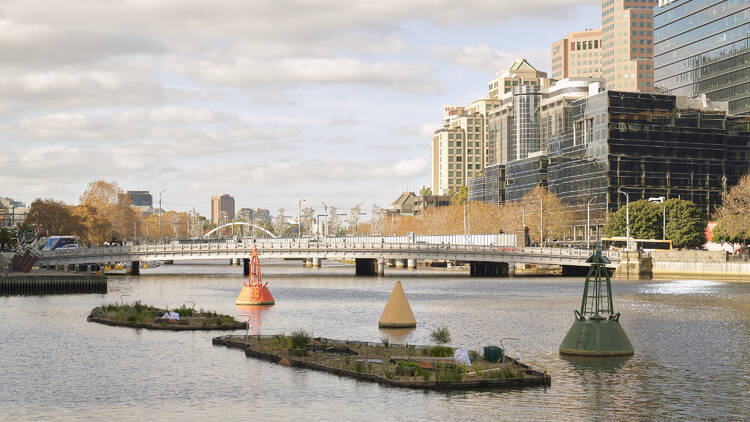 Birrarung Trial Floating Wetlands