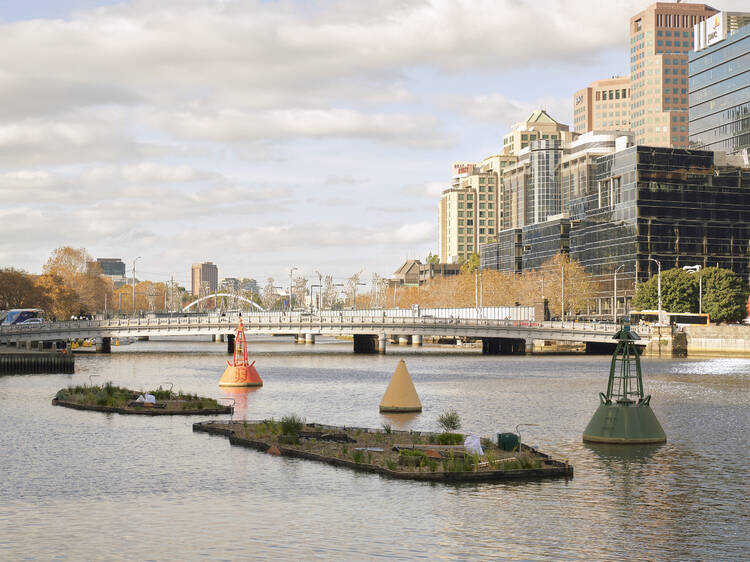 Birrarung Trial Floating Wetlands