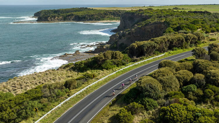 A group of cyclists ride along a road next to the coastline.