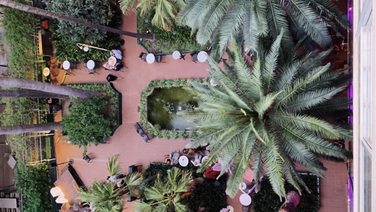 El Jardí de l'Ateneu Barcelonès