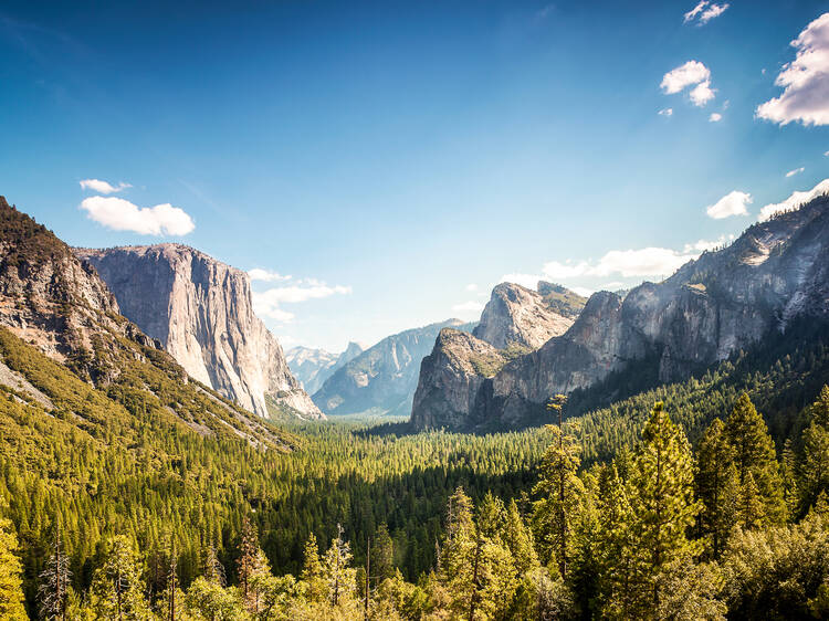 Yosemite National Park, CA | "Marry Me in Yosemite"