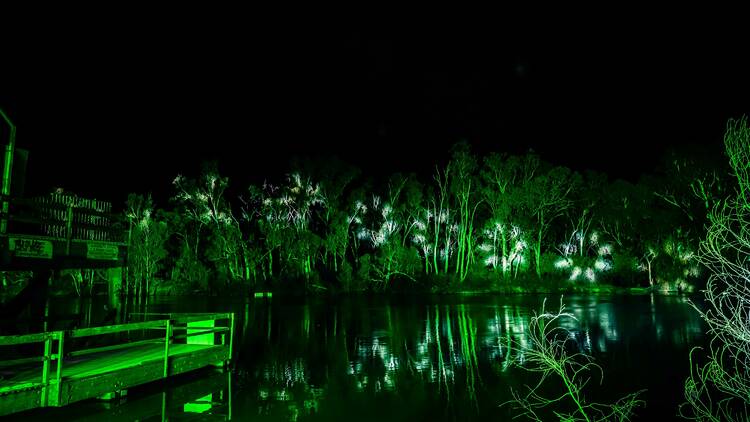 A lake illuminated by green lights.