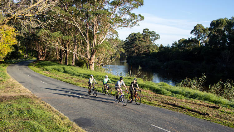 Four cyclists riding along a riverside track.