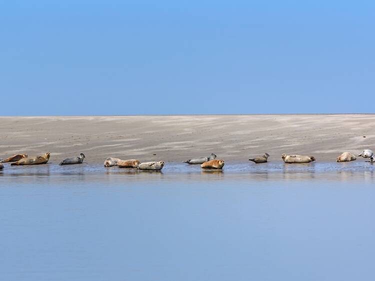 La baie de Somme