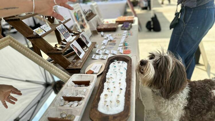 A dog looks at a table of jewelry during the Open Air Fair.