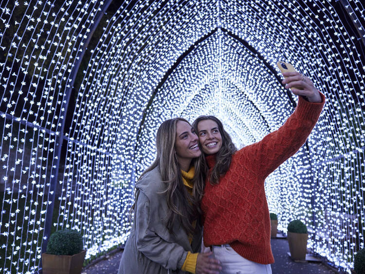 Lightscape at Brooklyn Botanic Garden