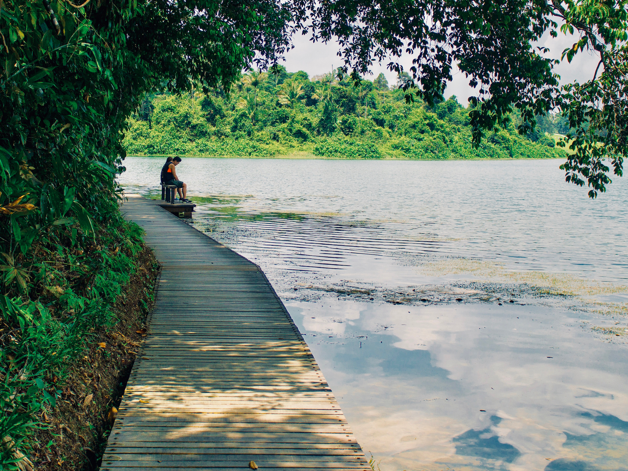 18 best hiking trails in Singapore to explore the great outdoors