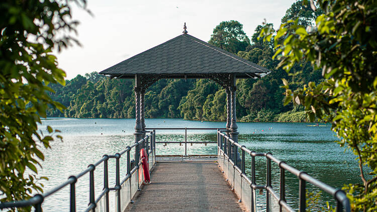 MacRitchie Reservoir