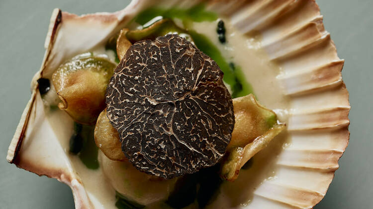 Truffle-topped scallop in a shell.