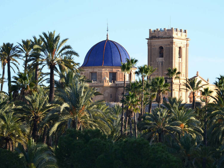 Elche: el oasis de palmeras español conocido por las alpargatas, los outlet y los cohetes espaciales