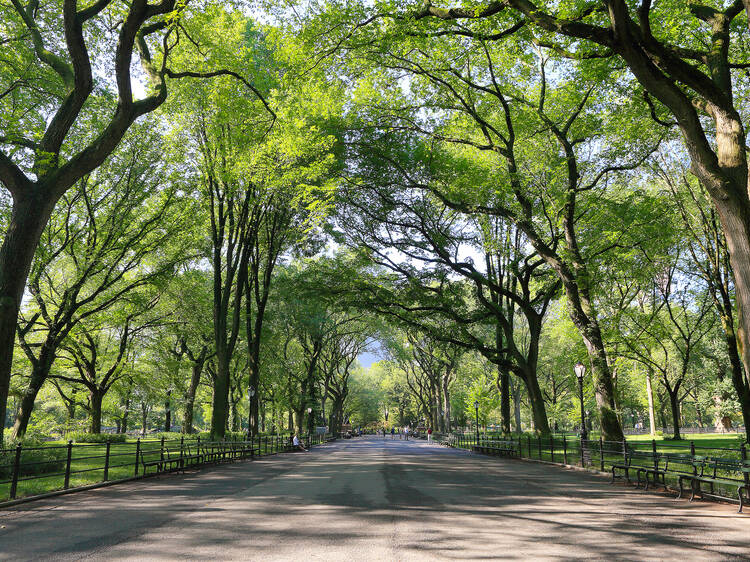 Enjoy the views at Central Park Mall (year-round)