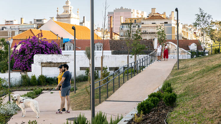 Conhecer o novo jardim de Benfica