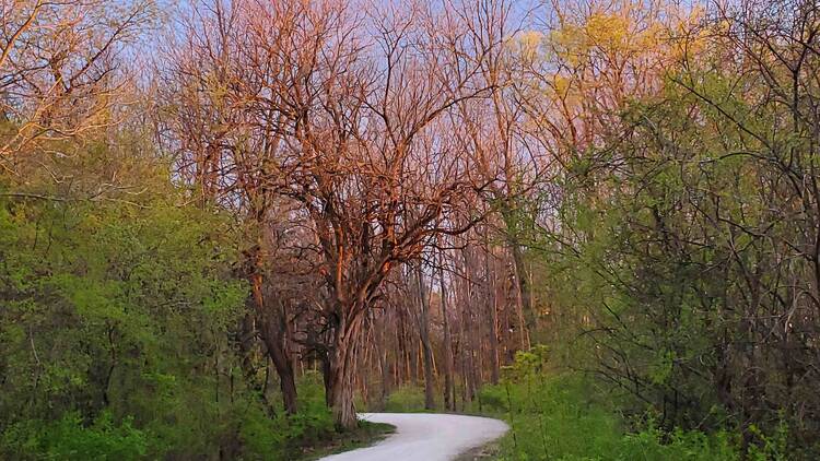 Illinois Prairie Path