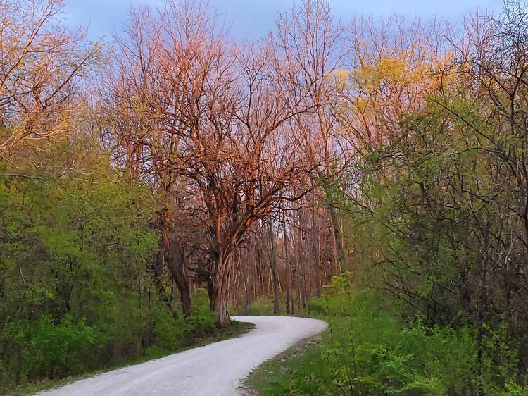 Illinois Prairie Path