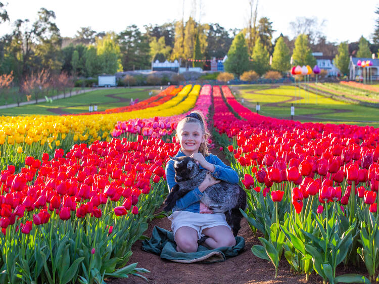 Things to do in Melbourne in September