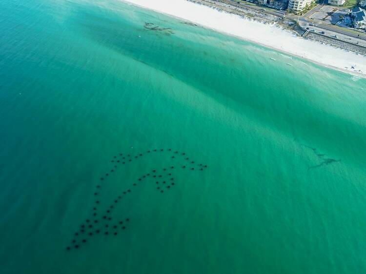 Snorkel Reefs | South Walton, FL