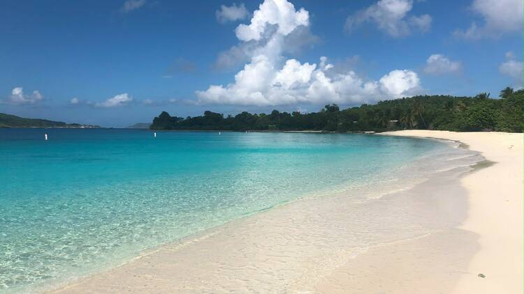 Trunk Bay | St. John, U.S. Virgin Islands