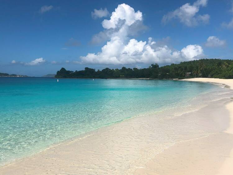 Trunk Bay | St. John, U.S. Virgin Islands