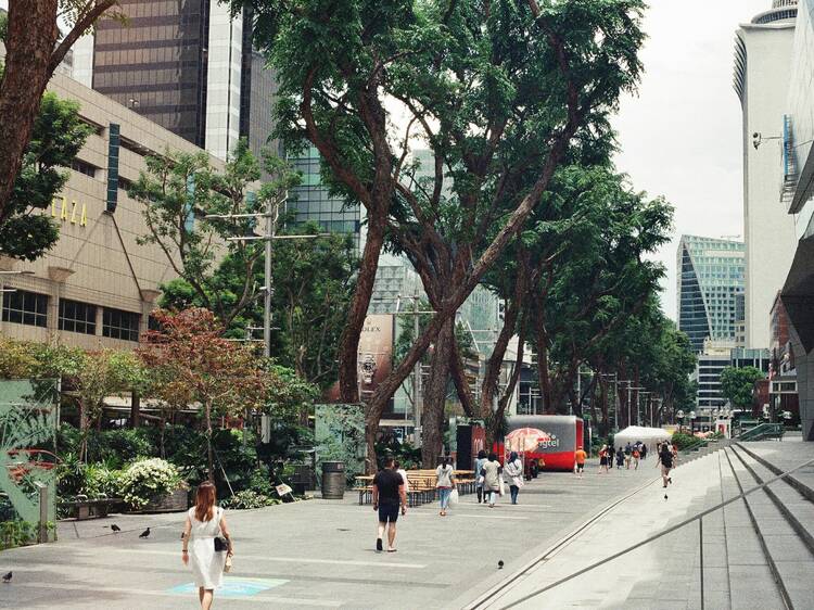 Explain the Singlish Term: Go Fly Kite 🪁 #tropicstreet