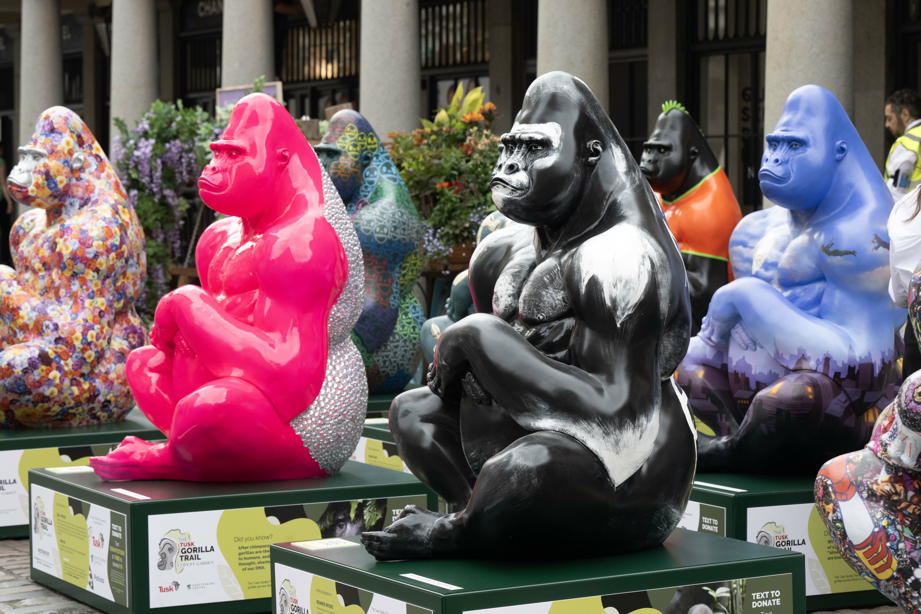 Why a Trail of Life-Size Gorilla Sculptures Popped Up in London, Smart  News