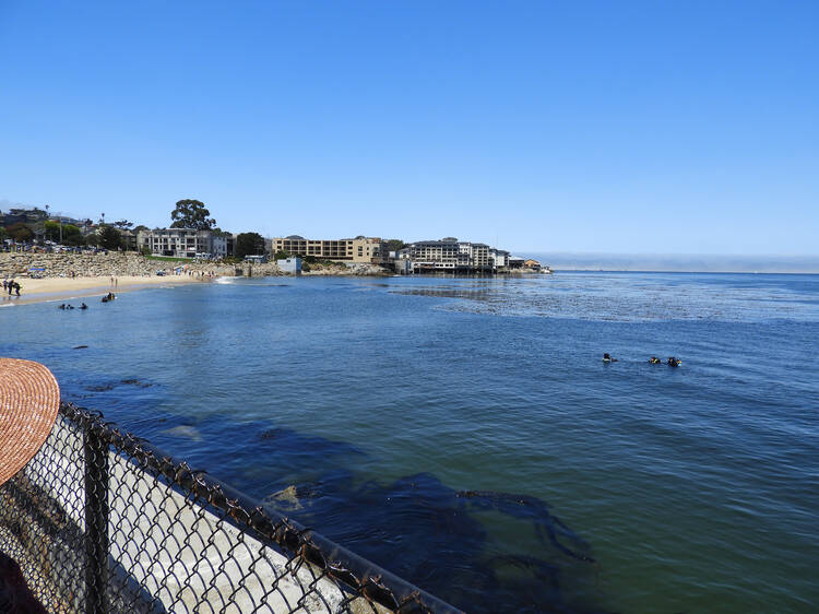 Breakwater Cove | Monterey, CA