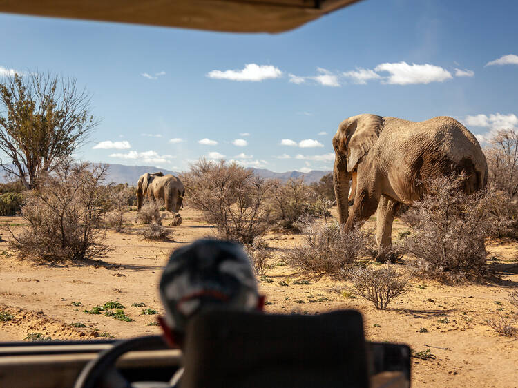 Inverdoorn Game Reserve