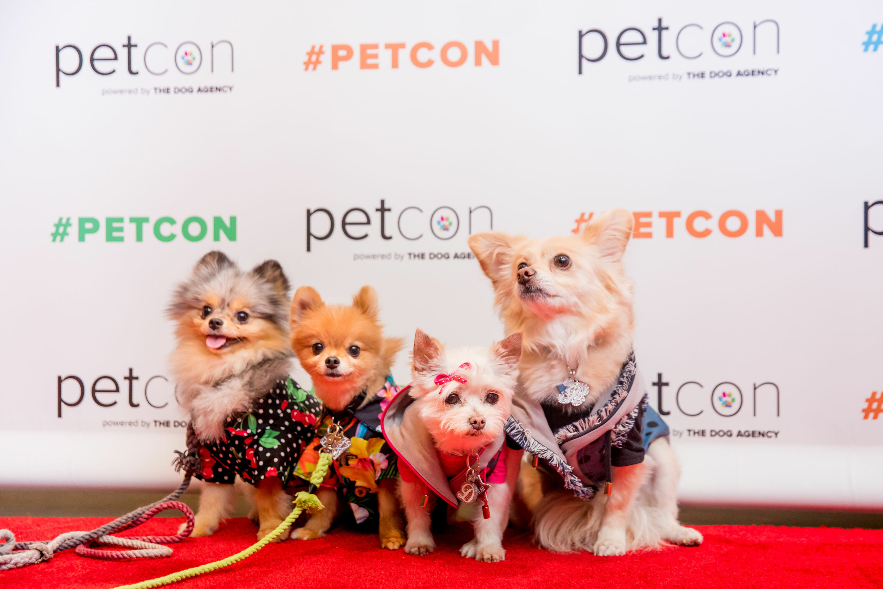 PetCon Things to do in Chicago