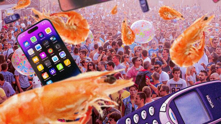 Collage of prawns and mobile phones at a music festival/concert
