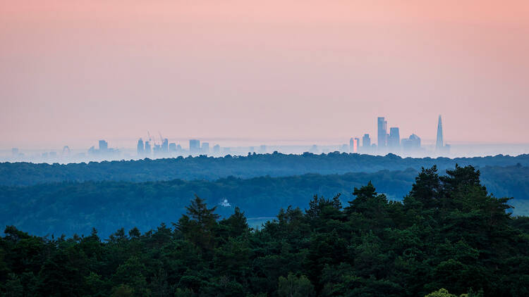 View of London skyline from the green belt