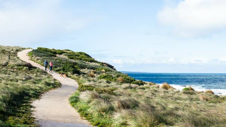 Two people walk a dog down a winding coastal path